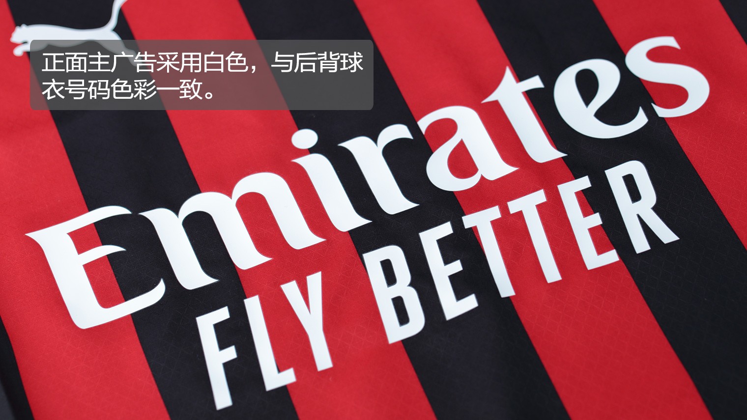 CBA新赛季还未开打已有教练下课？传同曦老帅被替代